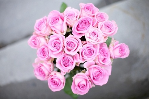 33010-Pink-Rose-Bouquet